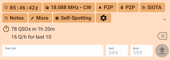 Polo QSO entry panel